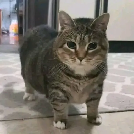 creator Sebastian_Riddle's avatar