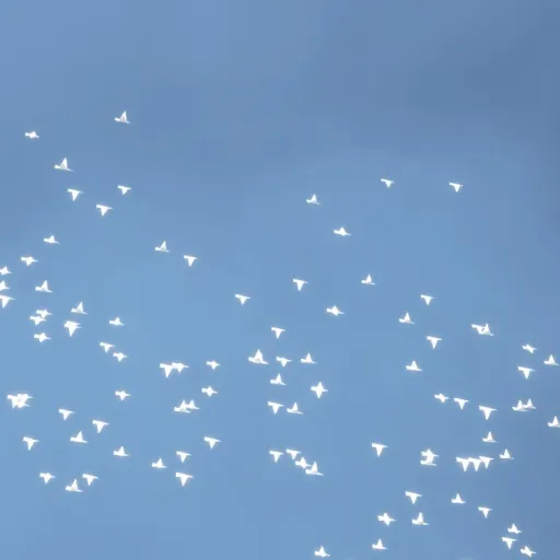 creator pea with tea's avatar