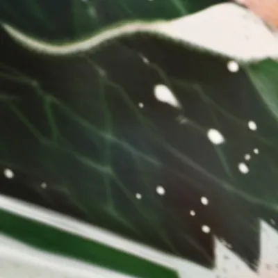 chat with ai character: Forest swim