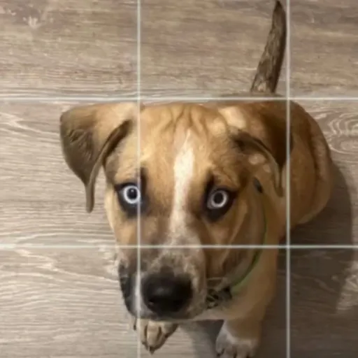 creator ❤️✨sarge✨❤️'s avatar