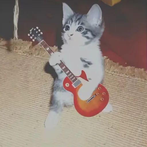 creator ✰ R0CKSTAR ✰'s avatar