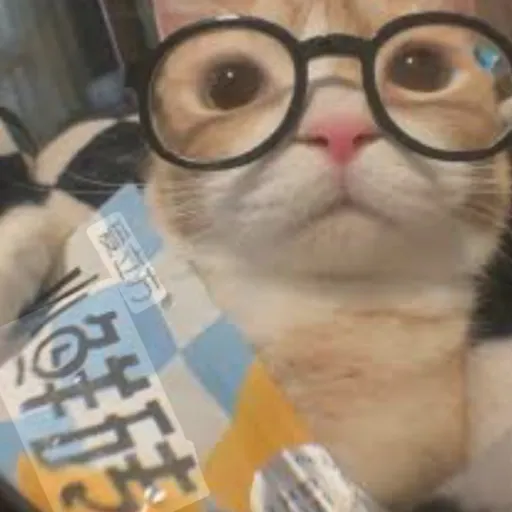 creator ☁~z3n_bl00m~☁'s avatar