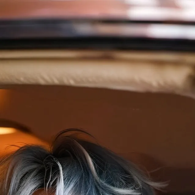 chat with ai character: Alexander 