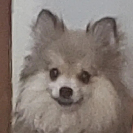 creator Talkior-7G0N1C7's avatar