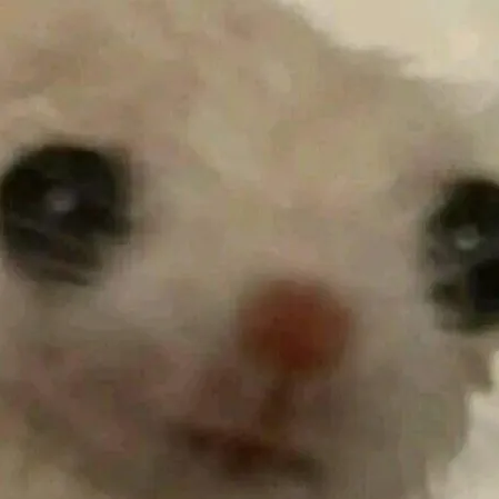 creator HOTTOGO!!!'s avatar