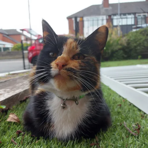 creator Yuki-chan!1746!'s avatar