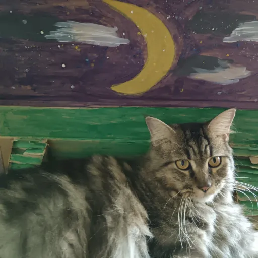 creator 😺§MeowoLeo§😺's avatar