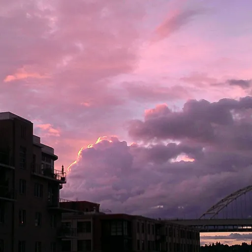 creator ✨Mei🌹's avatar