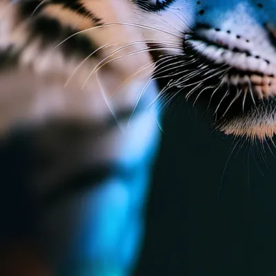 chat with ai character: Jack