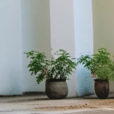 chat with ai character: Draco