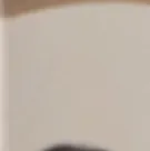 chat with ai character: Ayse 