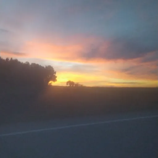 creator ✨Shakira✨'s avatar