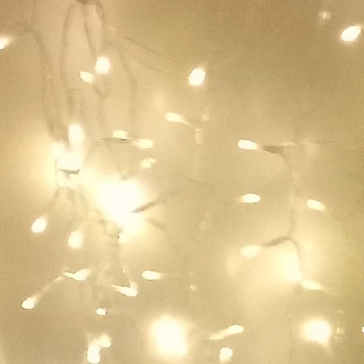 creator Miley_is_Lazy's avatar