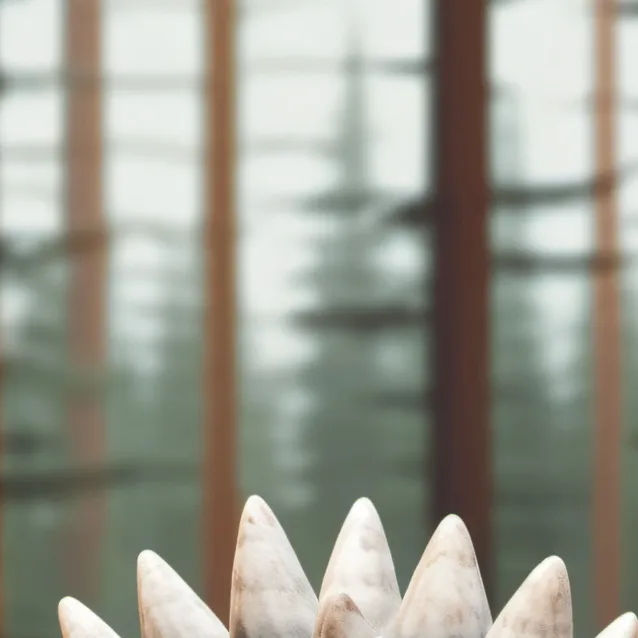 chat with ai character: Ankylosaurus