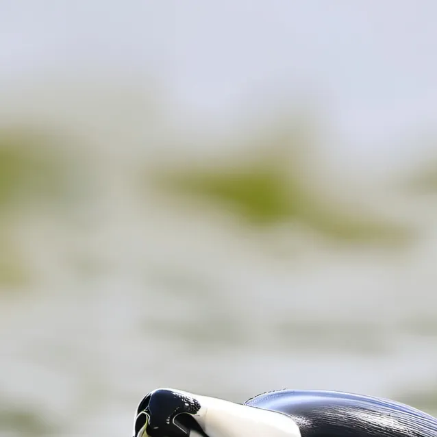 chat with ai character: smashed next