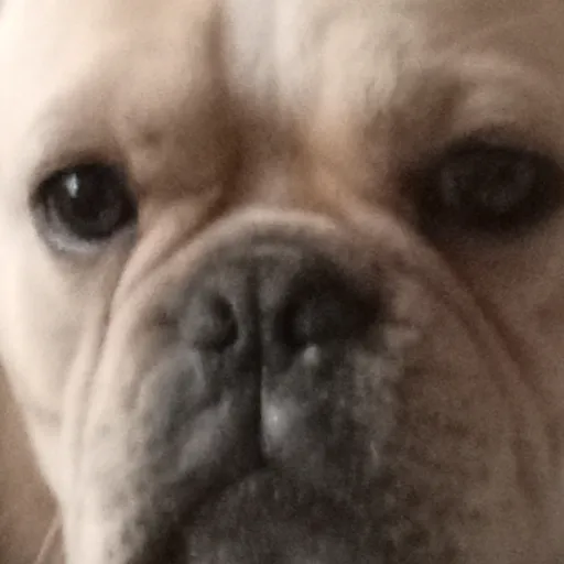 creator doug12345's avatar