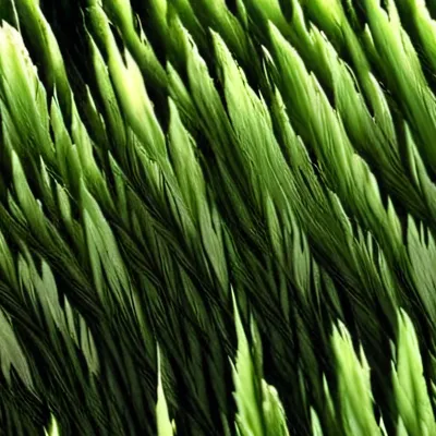 chat with ai character: Touch grass