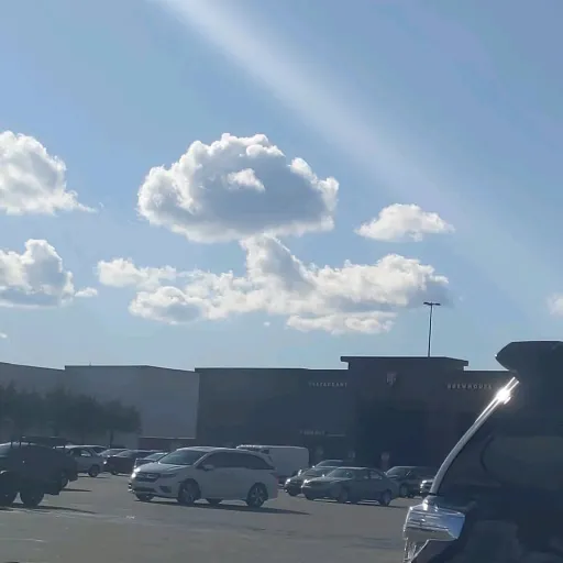 creator lAylAyhAy's avatar