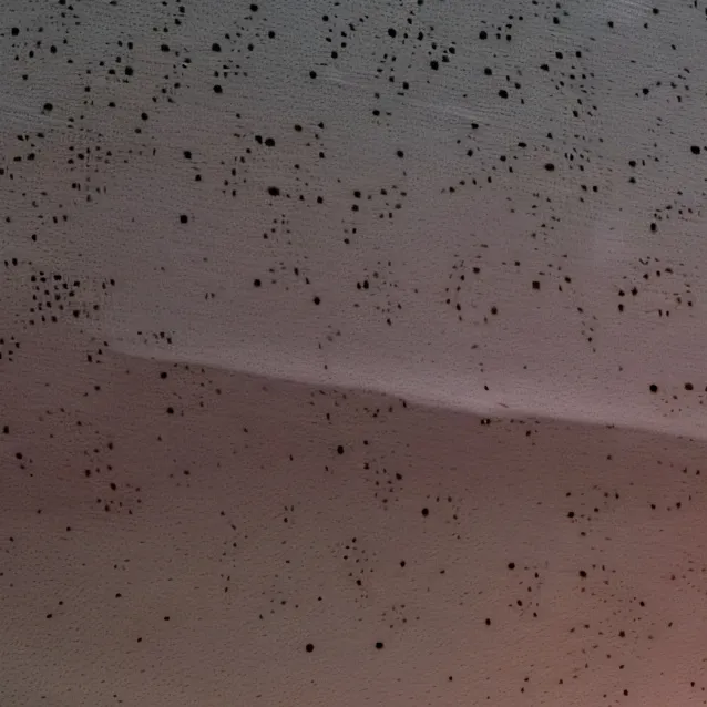 chat with ai character: Arwen french