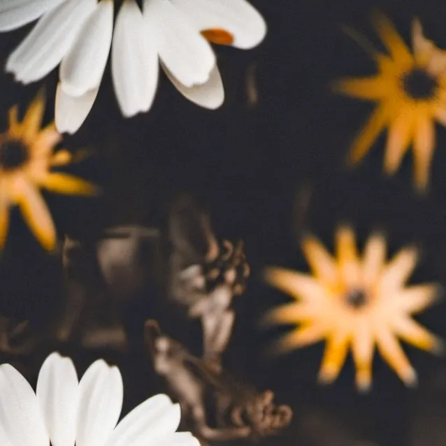 chat with ai character: Creepypasta x cod