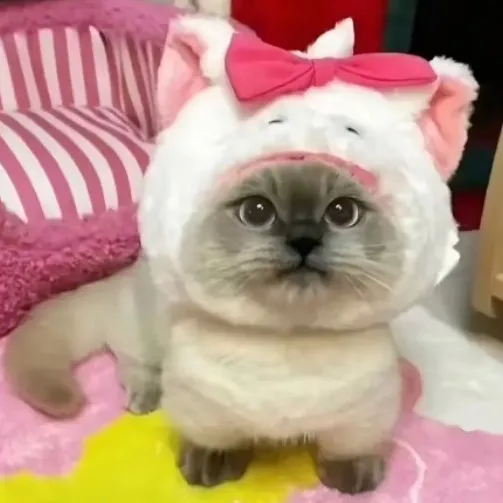 creator urgurl_cvntrina✩'s avatar