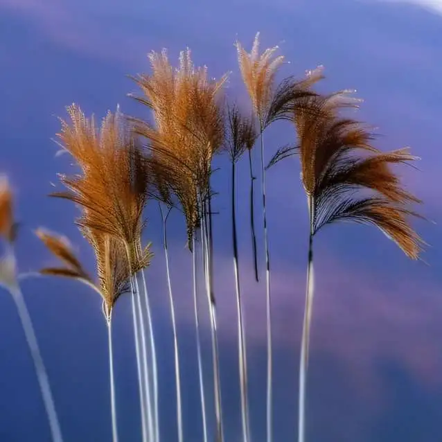 chat with ai character: MHA