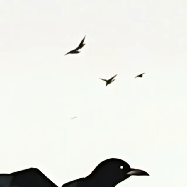 chat with ai character: corvus(Anna khorin