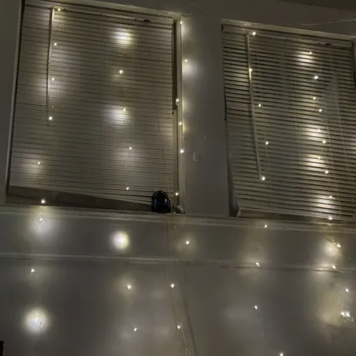 creator Ella w's avatar