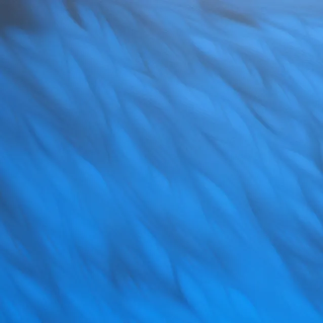 chat with ai character: vent 