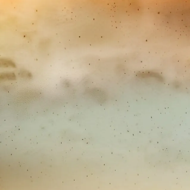 chat with ai character: Palestina Israeli