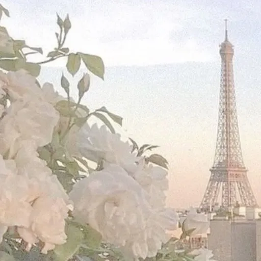 creator Dino go rawr: 3~'s avatar