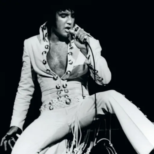 creator YesSoNo?Ok!'s avatar