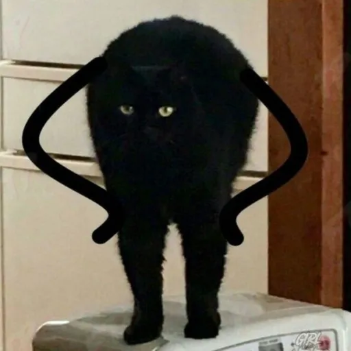 creator ✨AnimeFan✨'s avatar