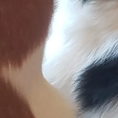 creator ♡♤Dark|Is|Light♧♡'s avatar