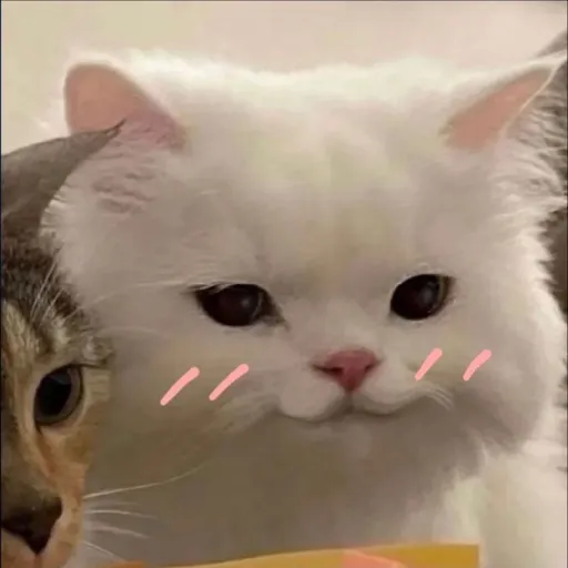 creator Vinny..'s avatar