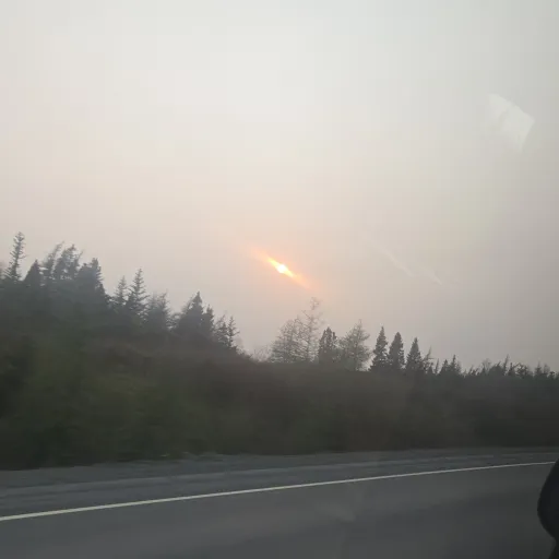 creator 23891's avatar