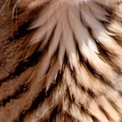 chat with ai character: Wild Cat