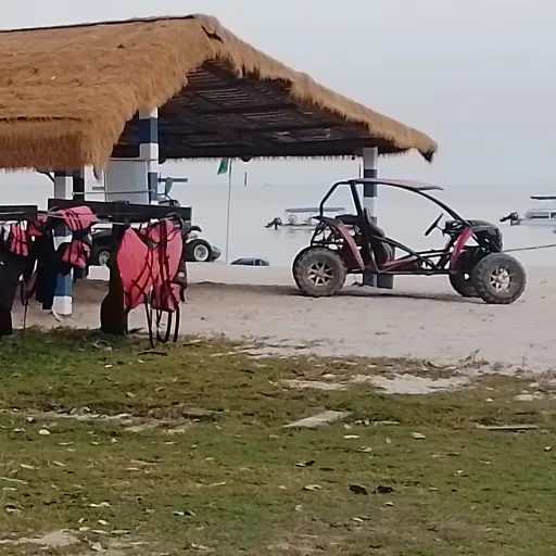 creator `° • 𝙷𝚊𝚗𝚗𝚊𝚑 • °`'s avatar