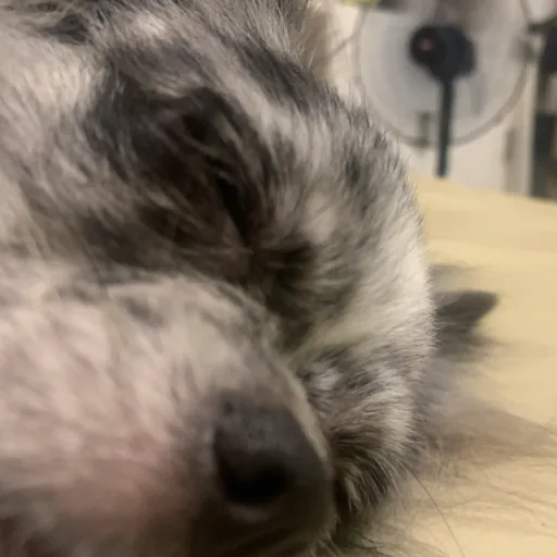 creator Talkior-kJwX6Zsj's avatar