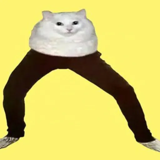 creator ✧(｡•̀ᴗ-)✧Yahooo!'s avatar