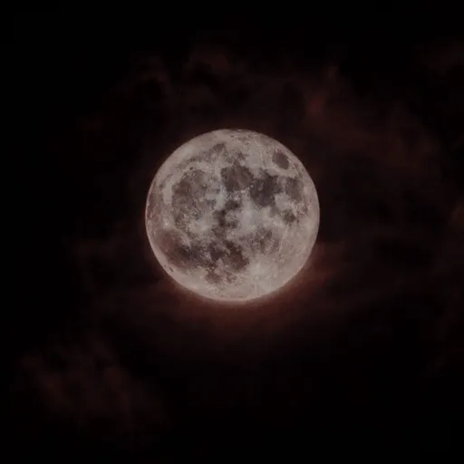 creator Darklove_'s avatar