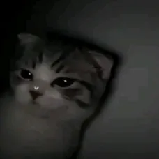 creator •Kenhri•'s avatar