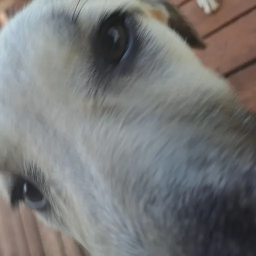 creator M&MsOfficial's avatar