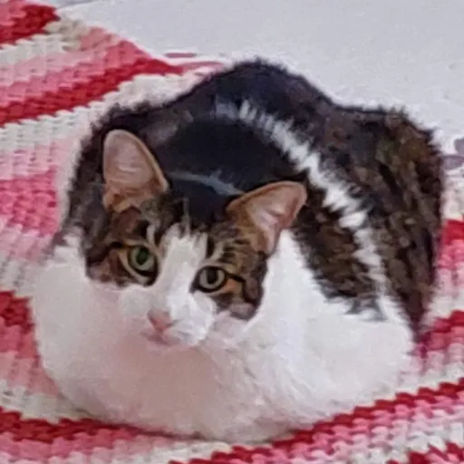 creator Depressoz's avatar