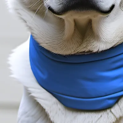 chat with ai character: Dog