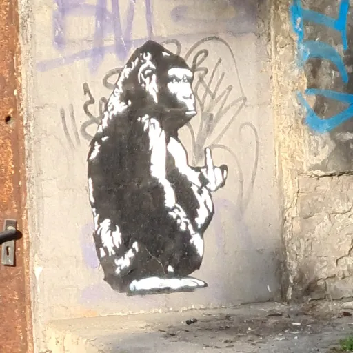 talkie's author avatar