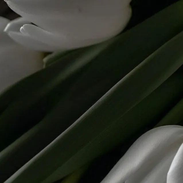 chat with ai character: CLASS 1A