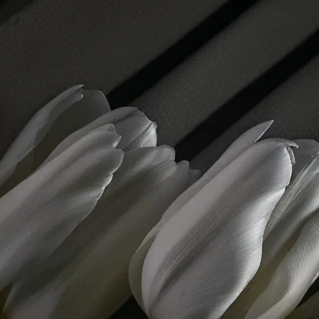 chat with ai character: MHA CLASS1A