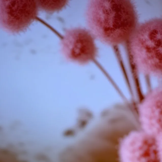 chat with ai character: pancakes 