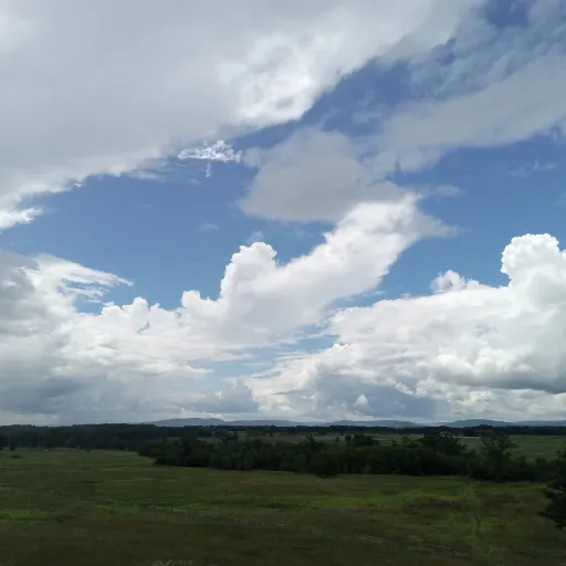 creator Aloisa.'s avatar